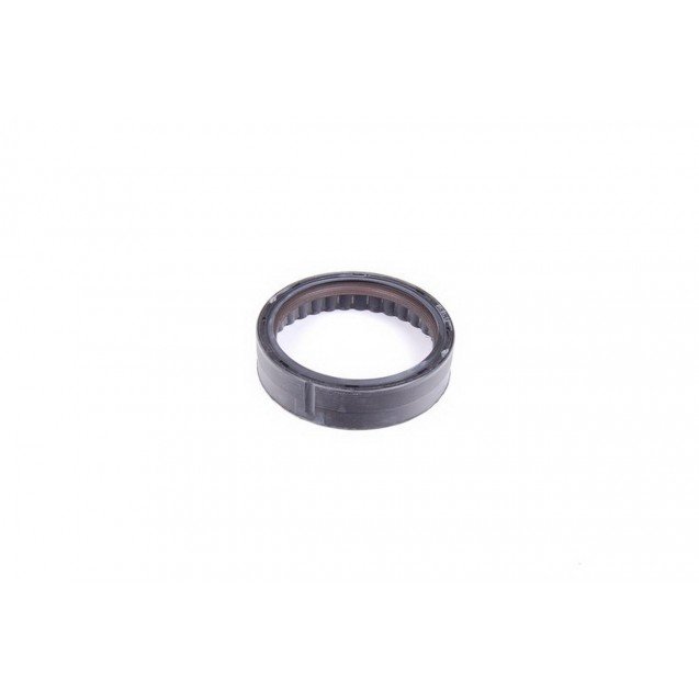 Arka Krank Keçesi Mini R56