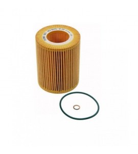 Yağ Filitresi F20 F30 N13